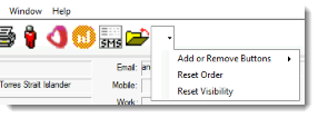 Example Patient Record toolbar customisation options